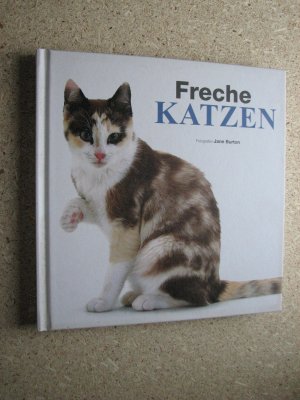 Freche Katzen Jane Burton Buch gebraucht kaufen A02jVTDy01ZZn